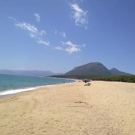 Happyvacation Di Cadoni Antonio *